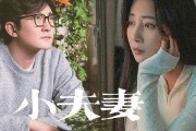 夫妻网红被爆料视频大全,揭秘网络红人背后的真相