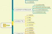 国安厨师爆料视频大全集,视频大全集背后的真实故事