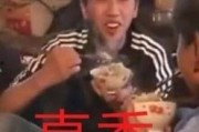 吉林王境泽爆料事件视频,揭秘背后真相与争议
